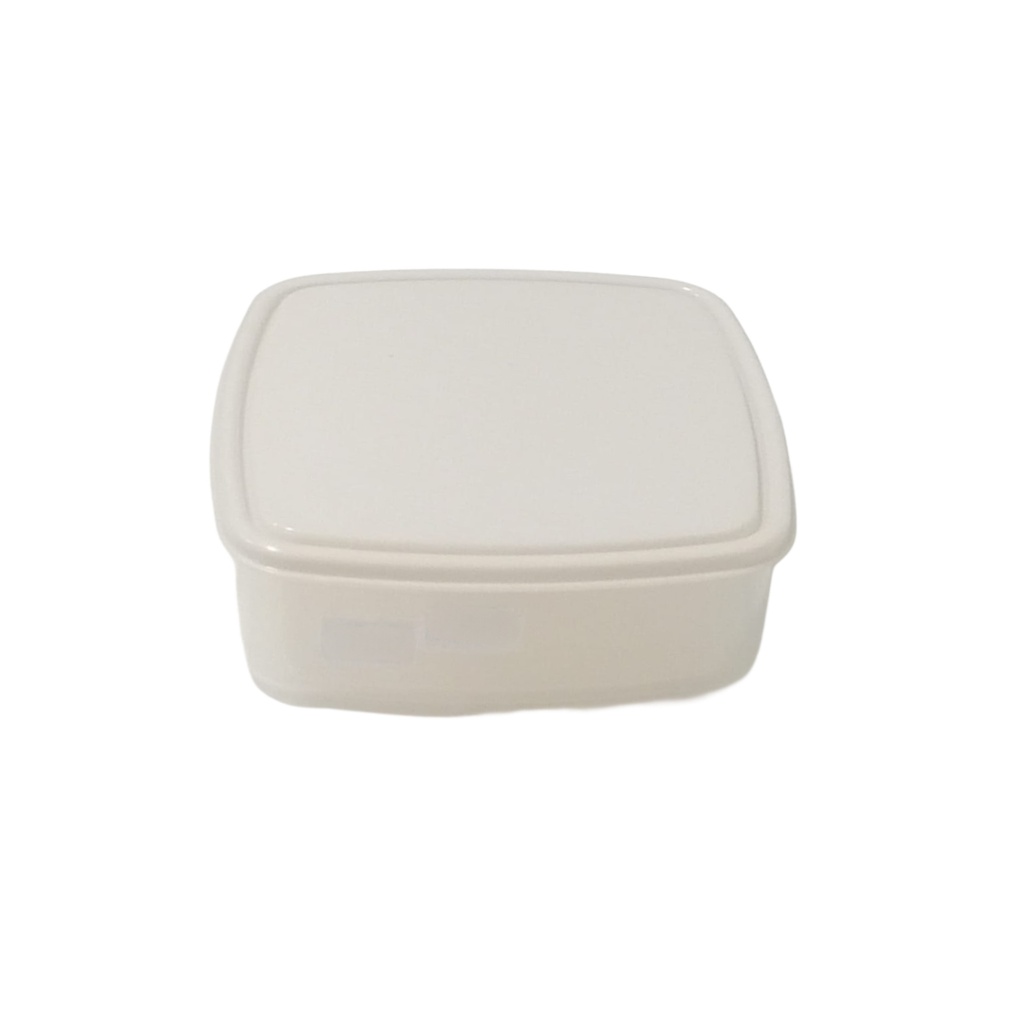 (10A18) SQ FOOD CONTAINER 62