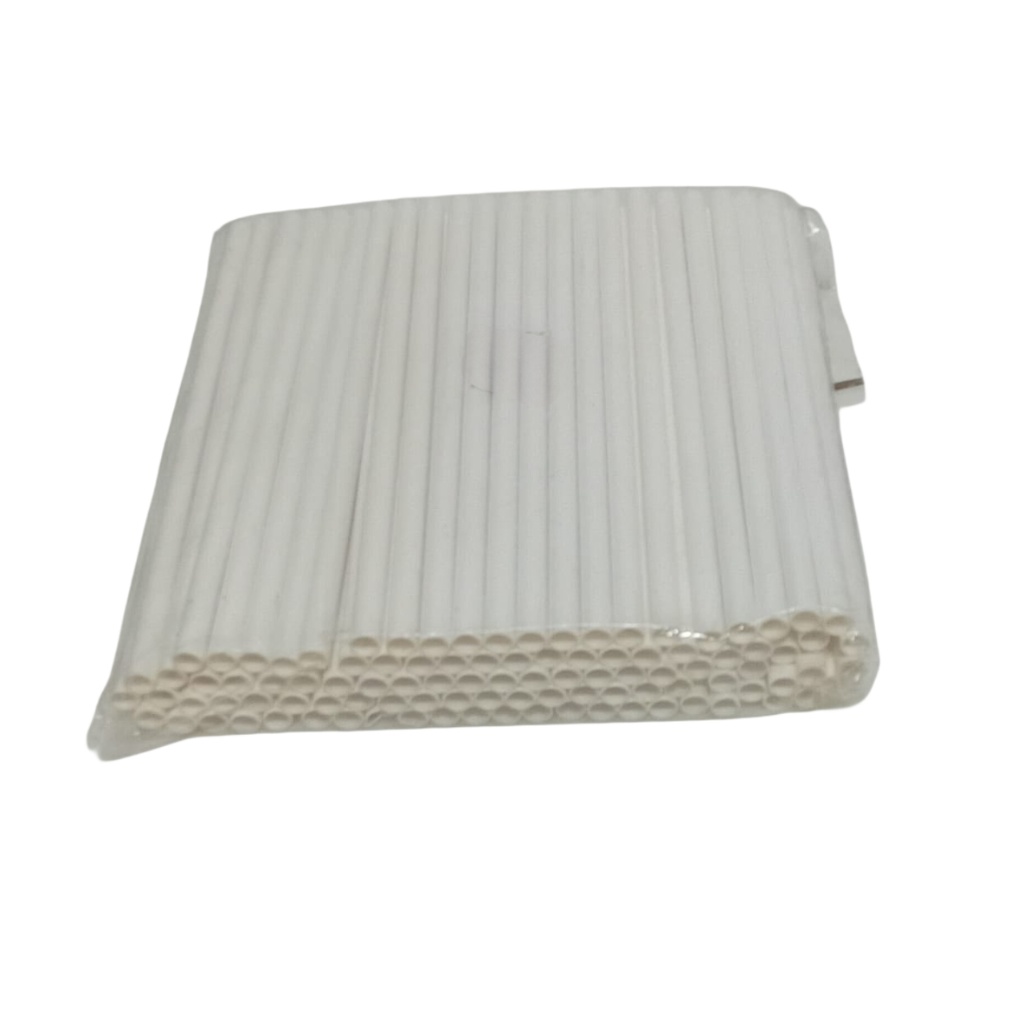 PAPER STRAW (L)