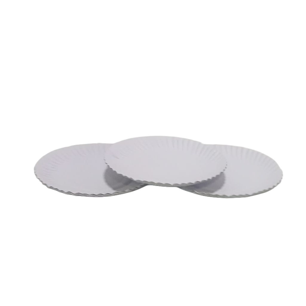PAPER PLATE  L
