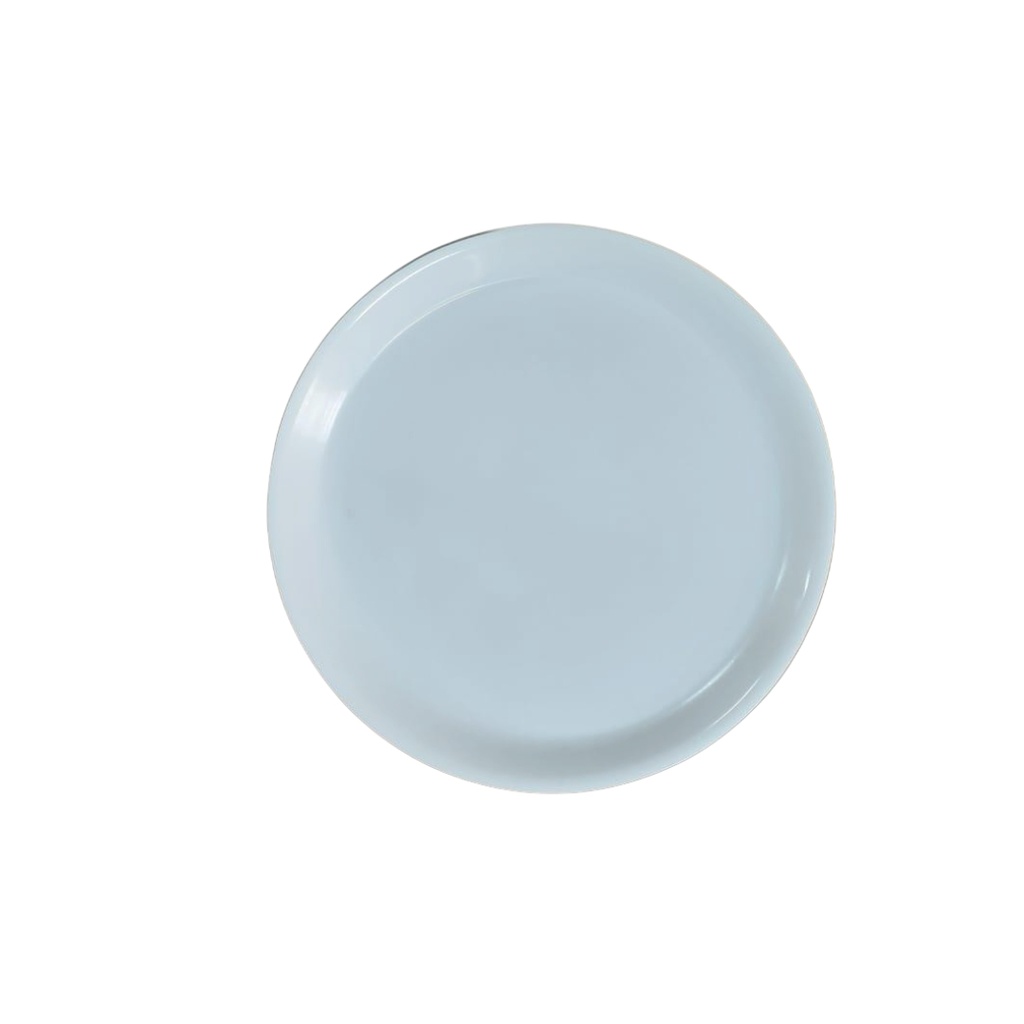 130526300 11” 11P1 MM FLAT PLATE
