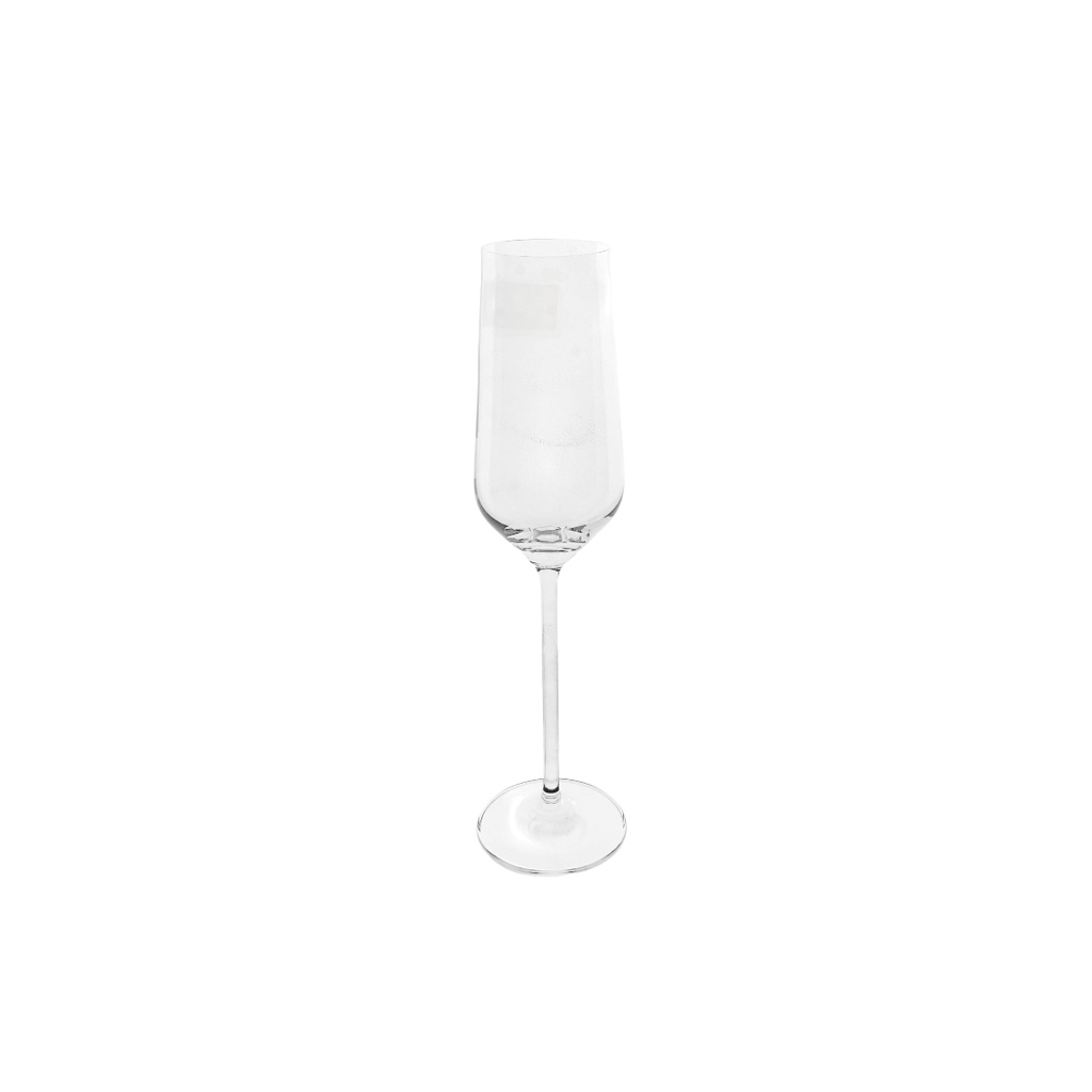 S93CP25 IDELTA STEMWARE 250ML 6PC (HEIGHT 24.2CM DIAMETER 5CM) 