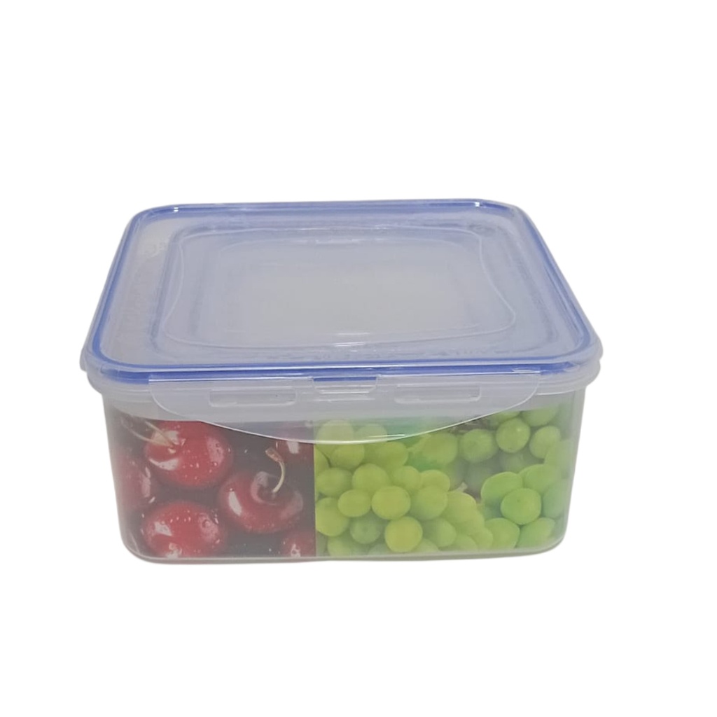 0514-33 STORAGE CONTAINER Z89 4PCS