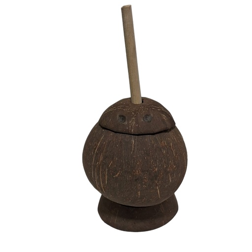 [1009659] SALT POT