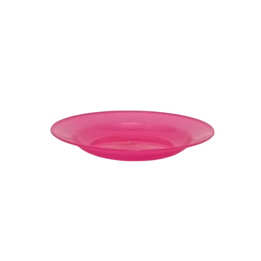 [1013319] (26A2) PLATE 