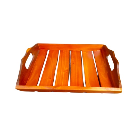 [1031150] SQ TRAY MD NO2