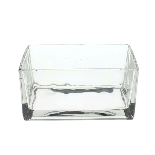 [1040016] SYHA15 GLASS VASE RECTANGLE (LENGTH 20CM, WIDTH: 10CM, HEIGHT: 10CM)