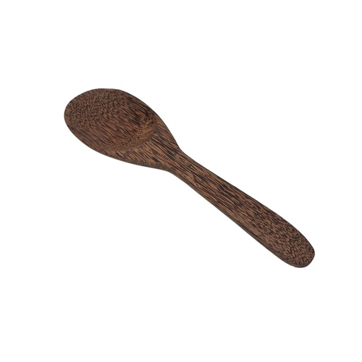 [1040717] COCONUT CURRY SPOON LG
