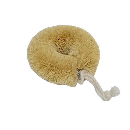 [1042076] DOUGHNUT SHAPE BRUSH