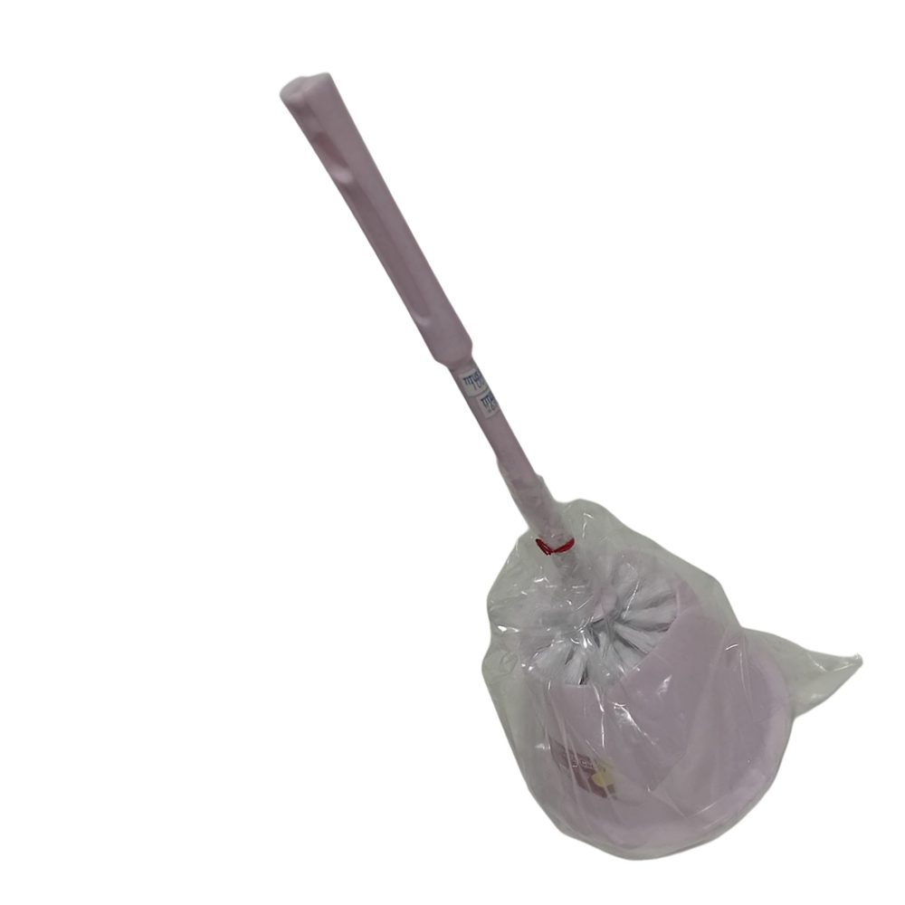 Toilet brush with holder