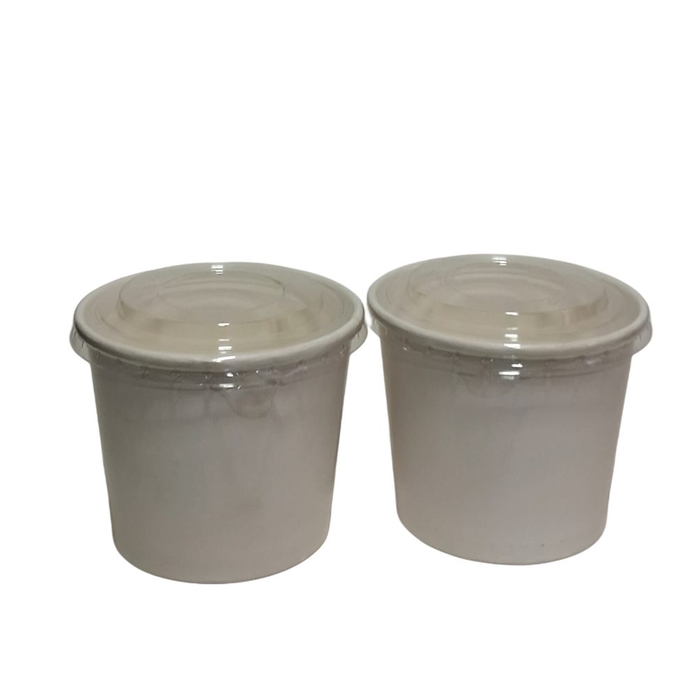 500ml Disposable Food Containers (5 Pack)