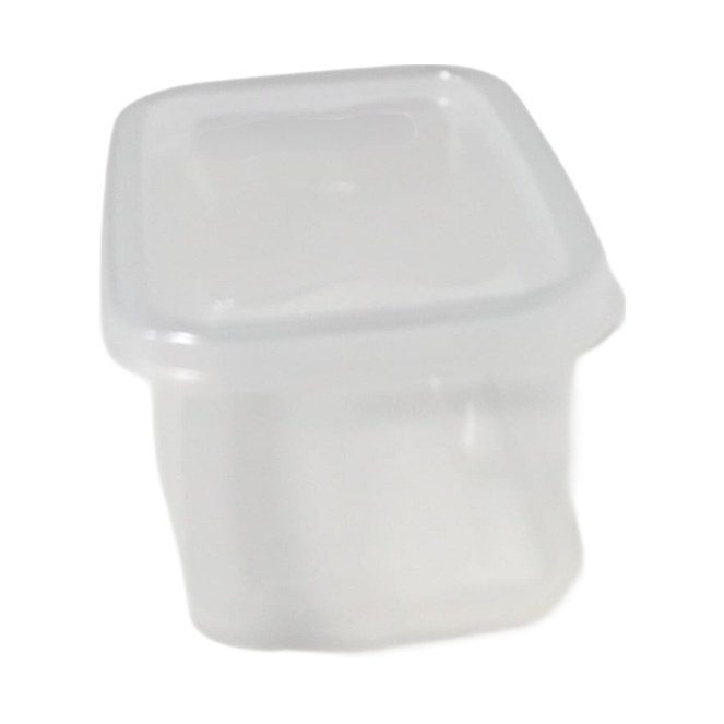 Small clear plastic food container