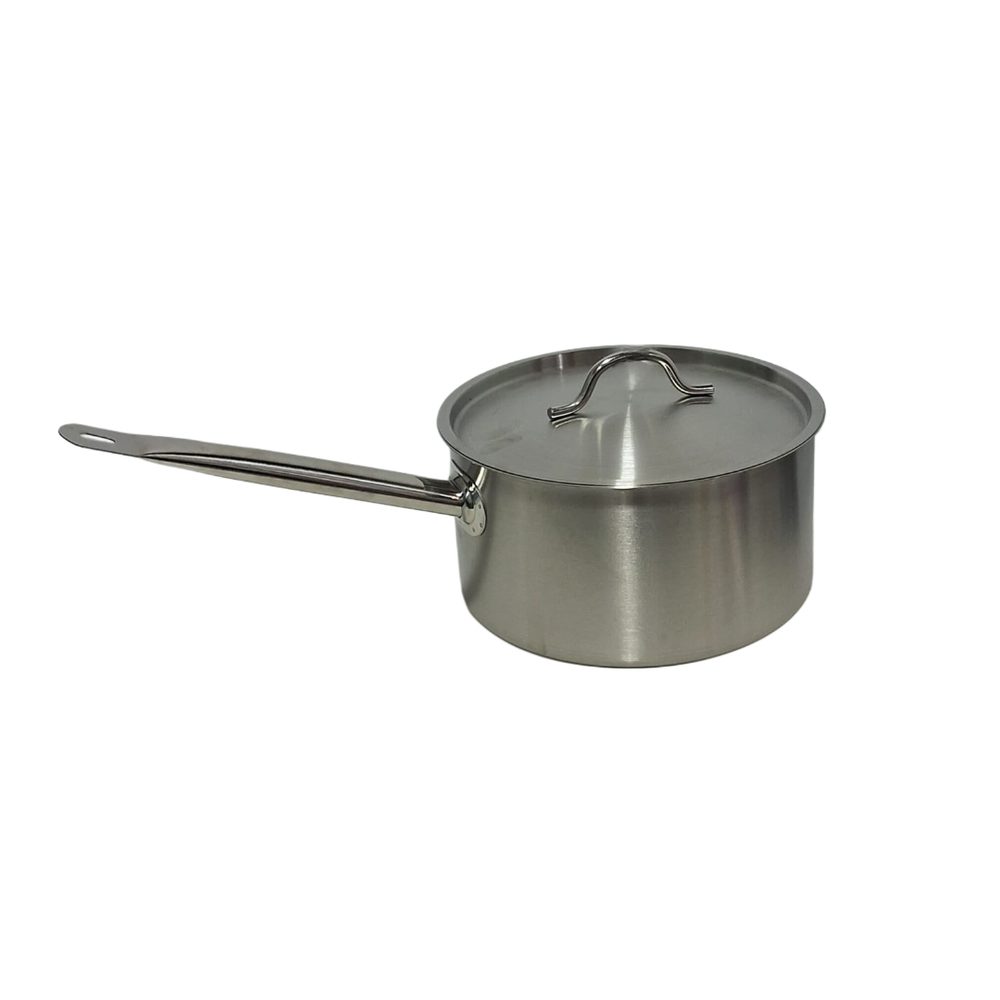 Stainless Steel Saucepan With Lid, 4L