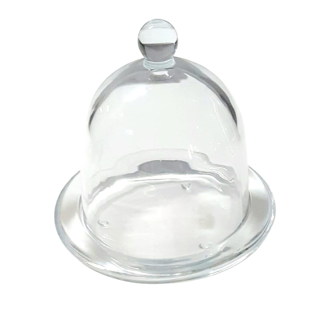 Small Glass Cloche with Plate