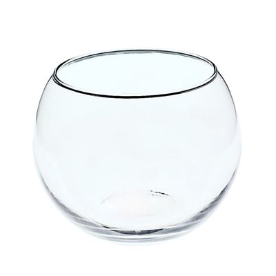 Round glass fish bowl