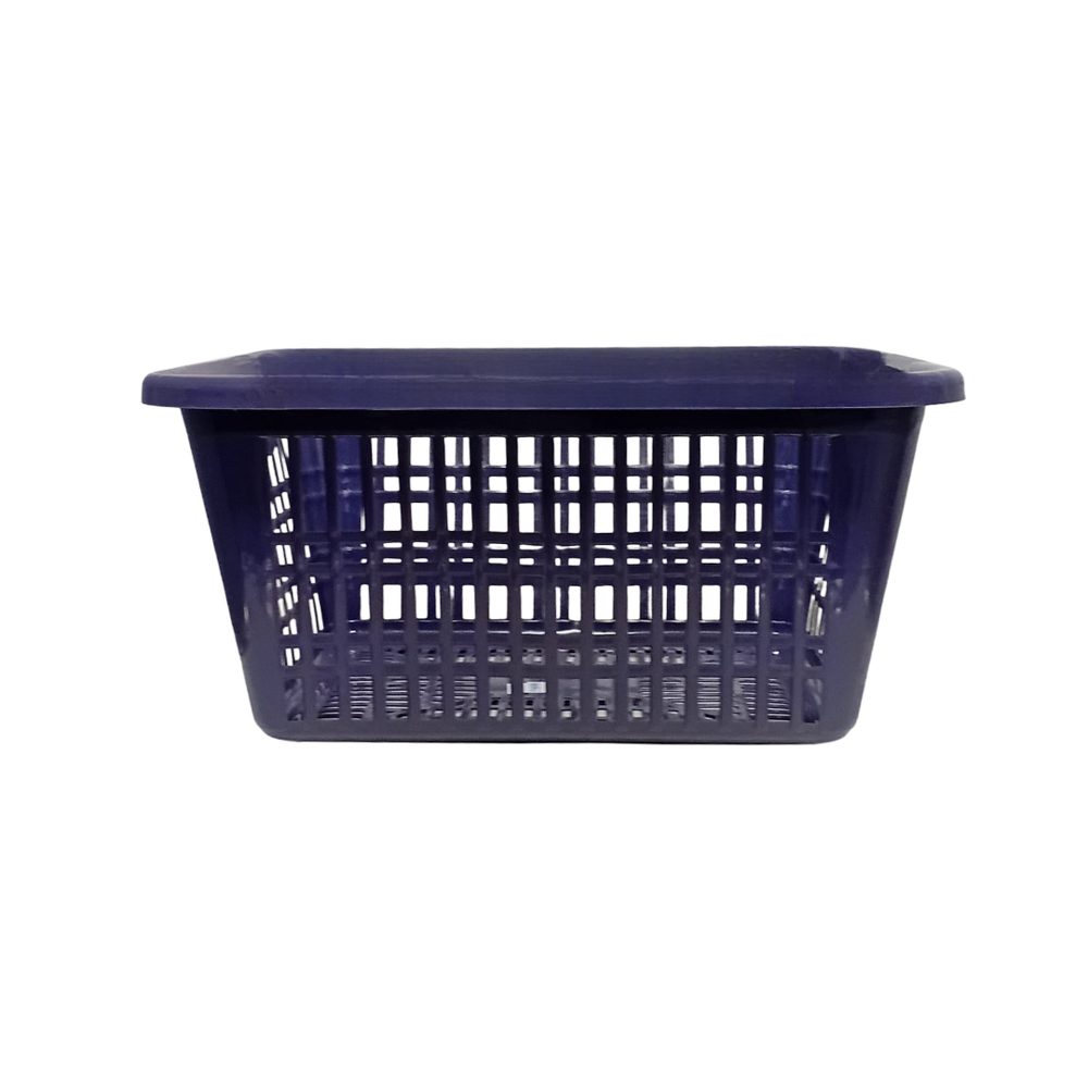 Plastic Vegetable Basket with Rim