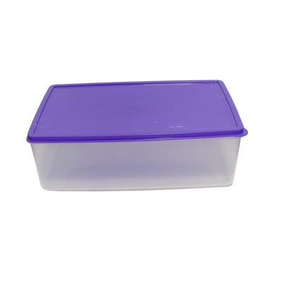 Rectangular Plastic Food Storage Box