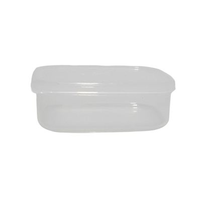Small Plastic Food Storage Box With Lid