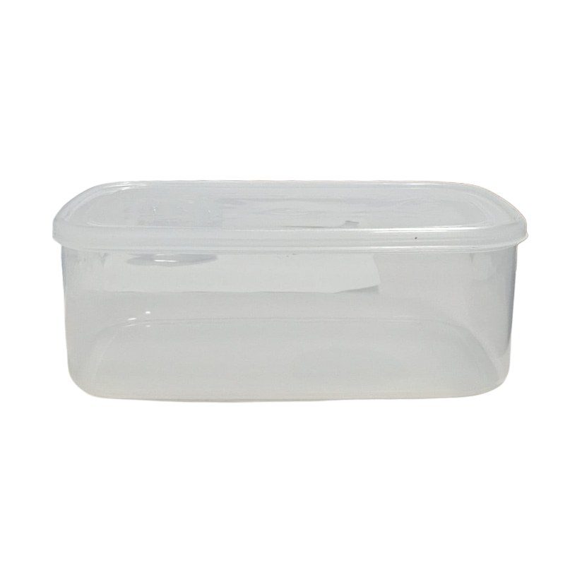 Clear Plastic Food Storage Box