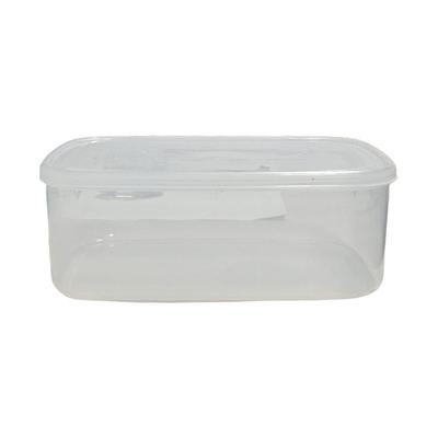Clear Plastic Food Storage Box