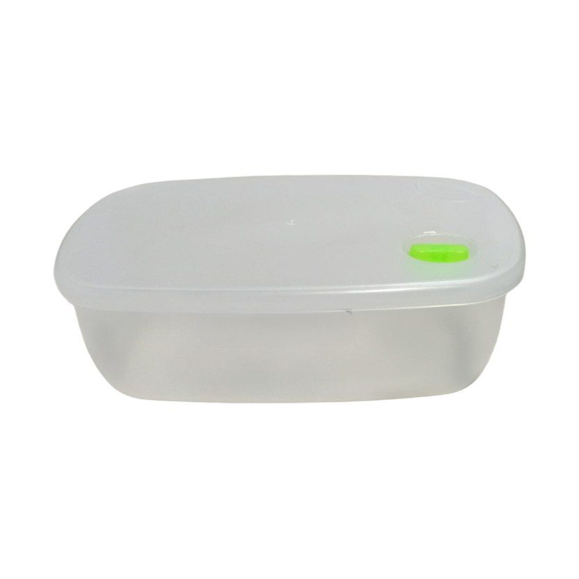 Small plastic food storage box