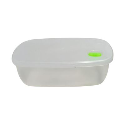 Small plastic food storage box