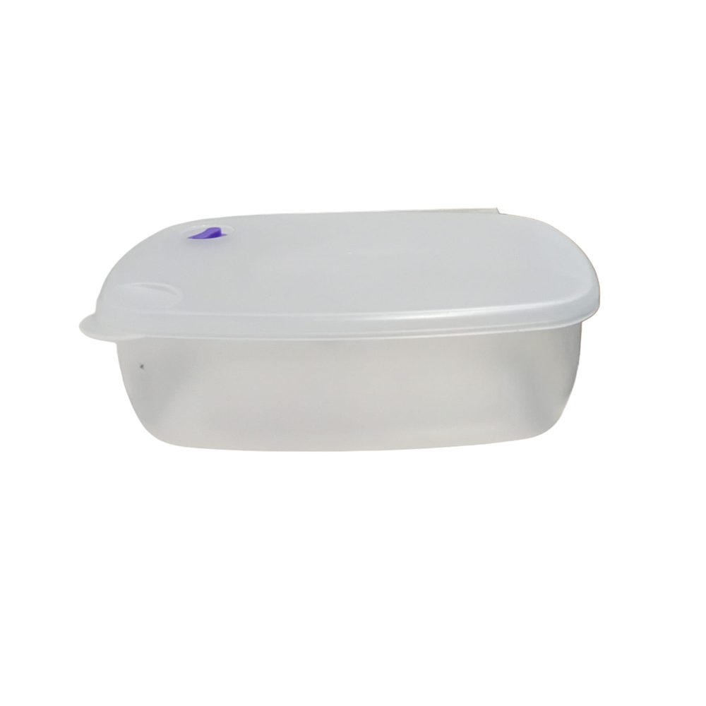 Medium plastic food storage box