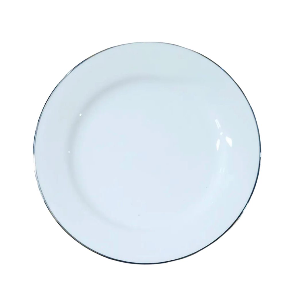 91320-16008 DINNER PLATE SILVER 753752