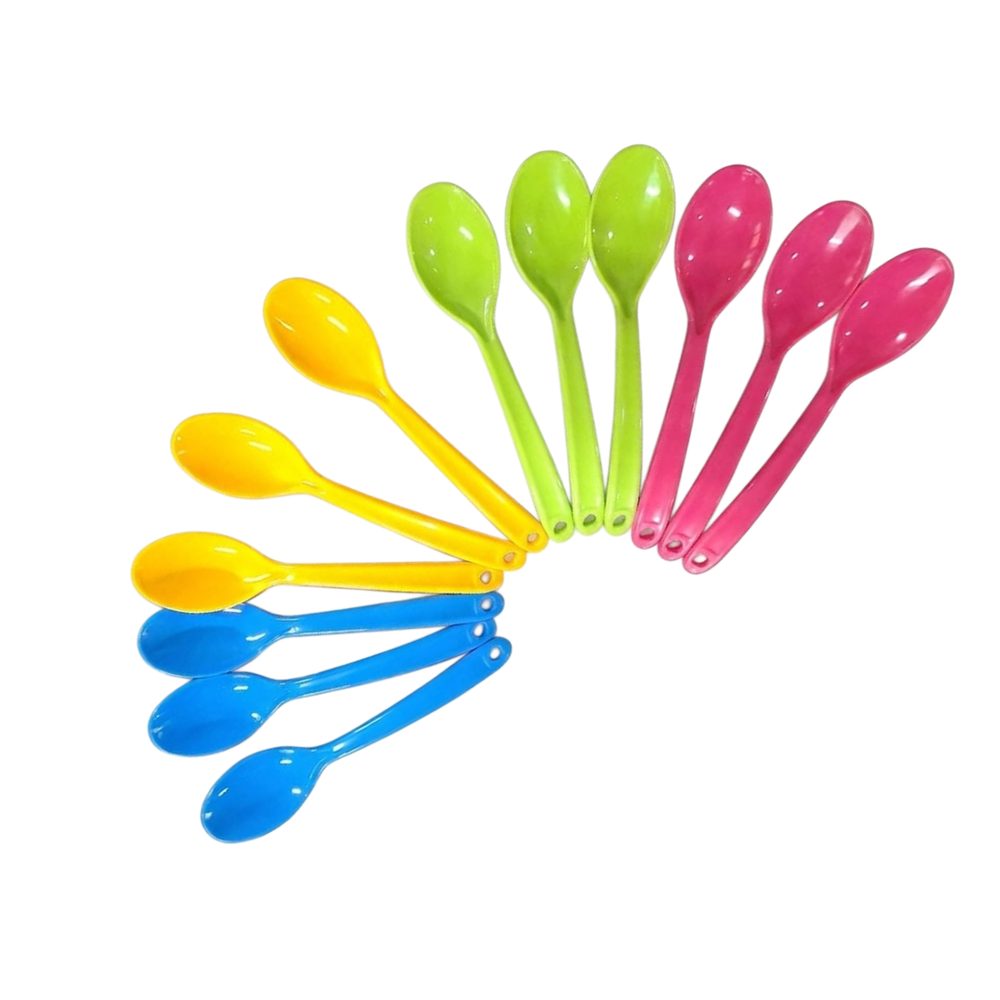0051-48 PL SPOON 12PCS