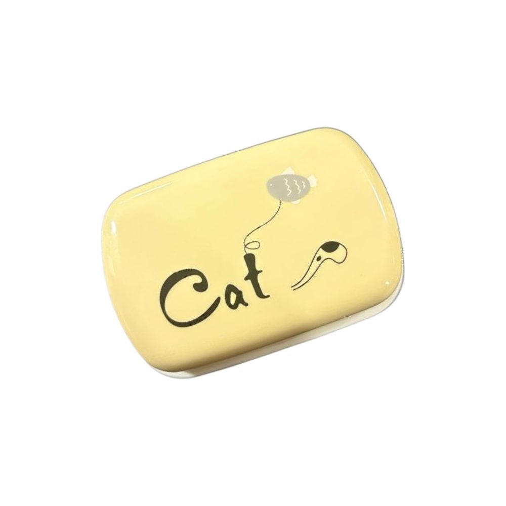 0051-23 SOAP CASE