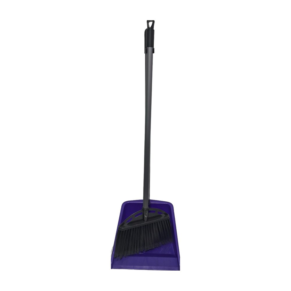 LONG HANDLE DUSTPAN & BROOM