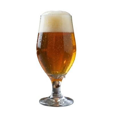 Polycarbonate Stemmed Beer Glass 600ml