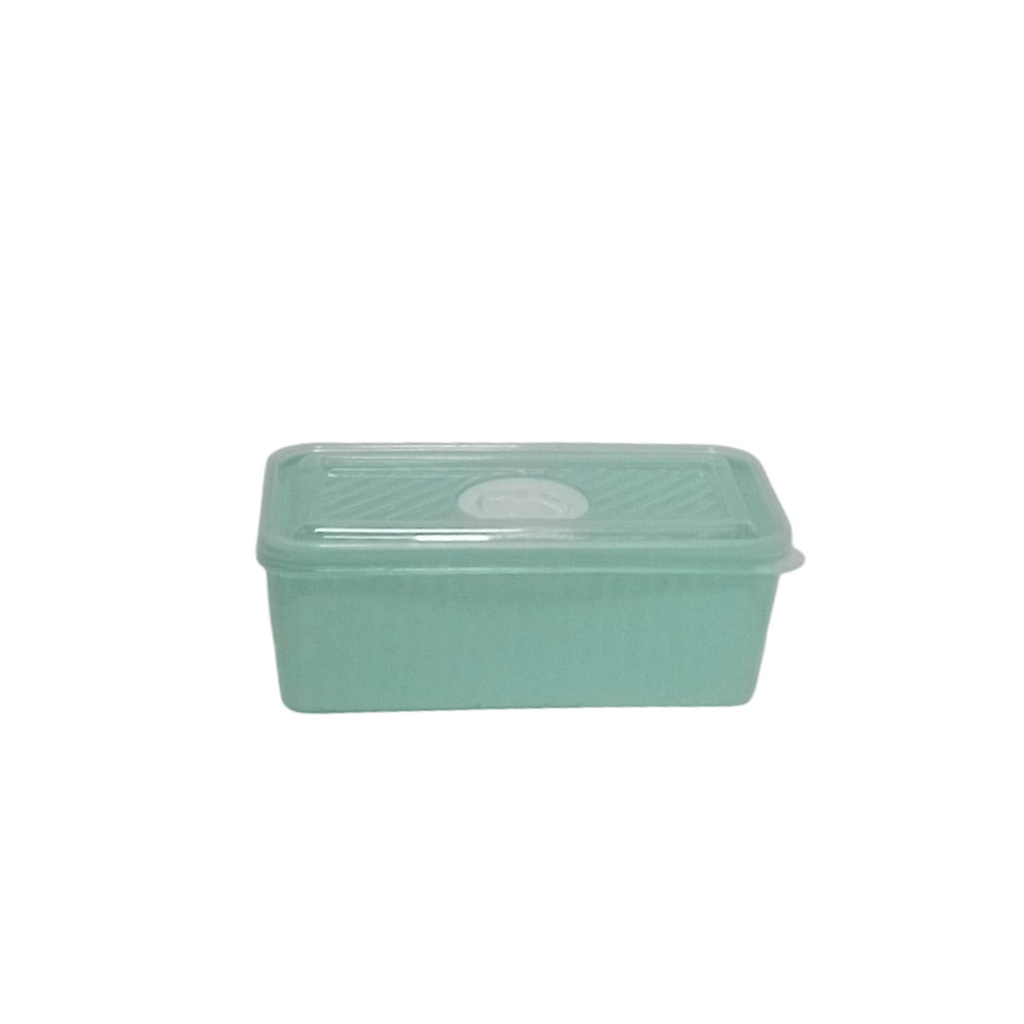 H 39 CONTAINER (LONG DAPPA)