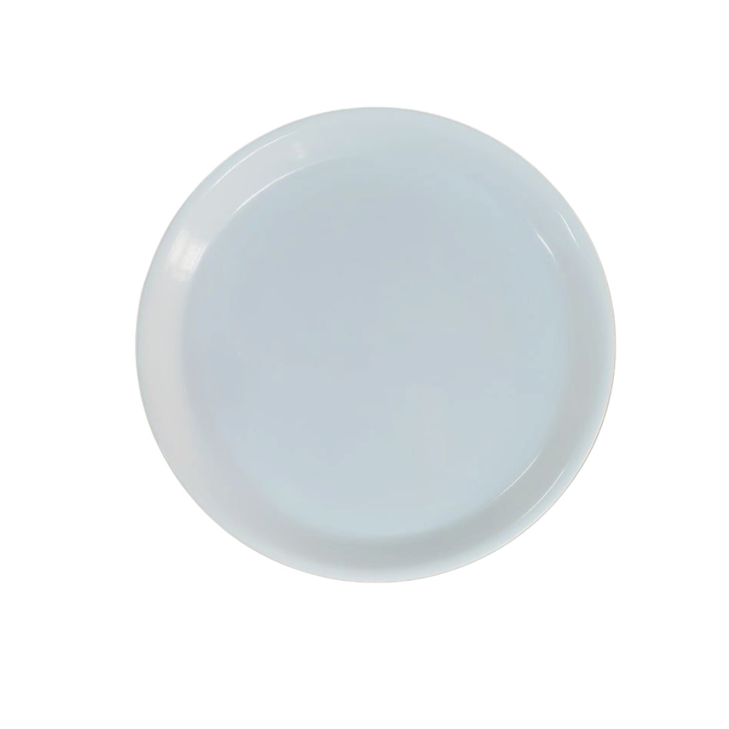 140230001 10” RD FLAT PLATE