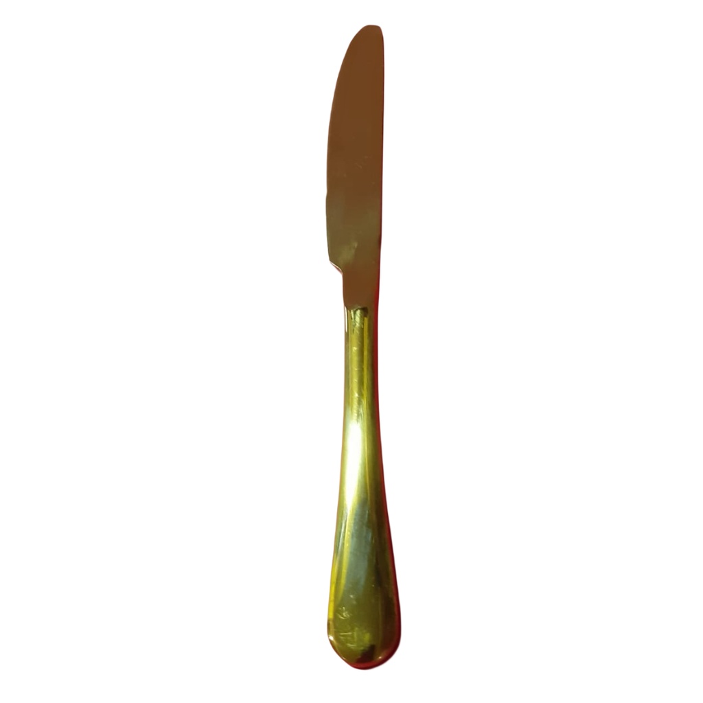 18/10 G1810-12 TABLE KNIFE GOLD