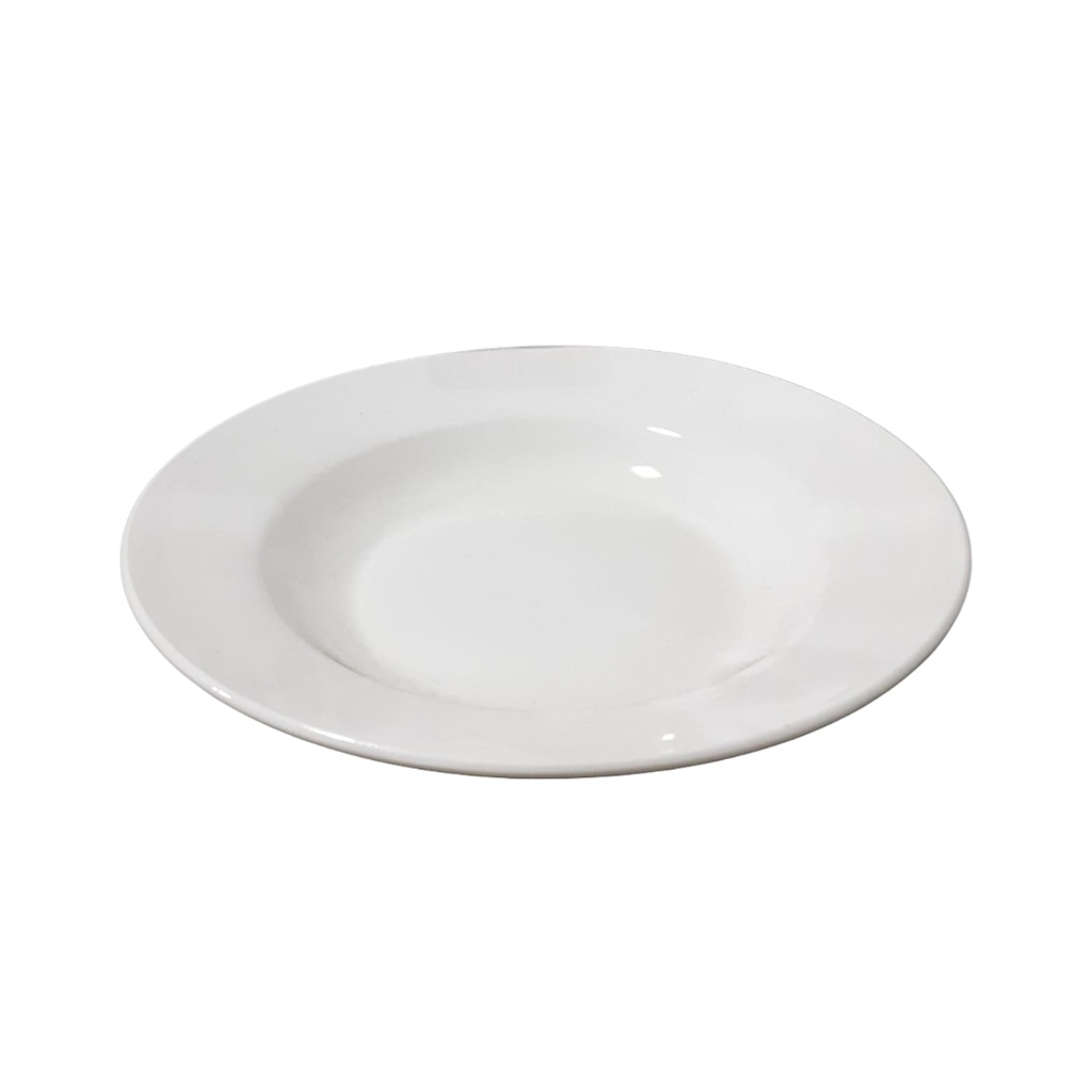 685-1 9” WHITE PLATE