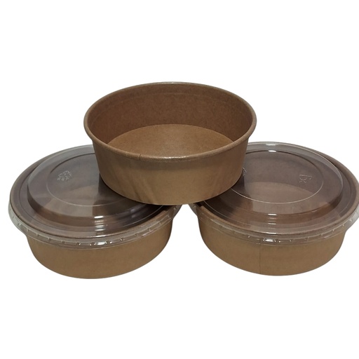 [1013717] CONTAINER SET 500ML 50PCS