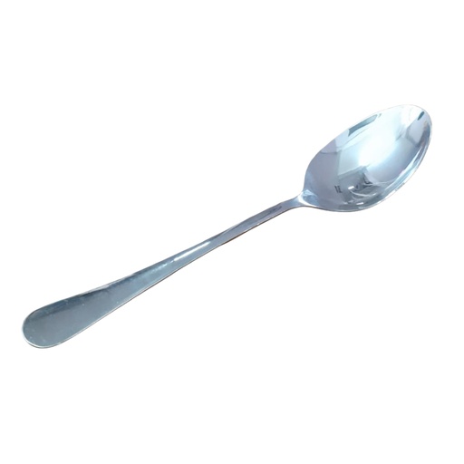 [1019117] S/S SERVING SPOON  750-10 / 3485-28 /633-20 (length 23cm)