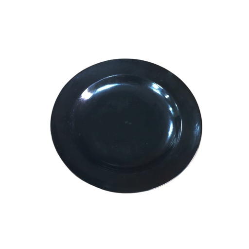 [1035423] 1302200056 10” HEAVY PLATE MM