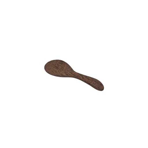 [1040718] COCONUT CURRY SPOON SM