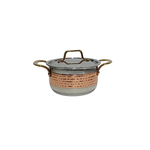[1041470] QUANTUM STOCK POT SONU 16CM