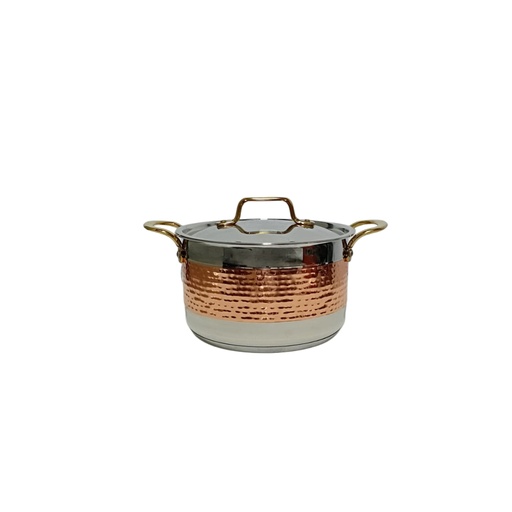 [1041472] QUANTUM STOCK POT SONU 20CM
